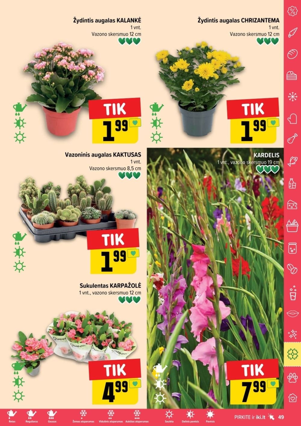 akciju leidinys