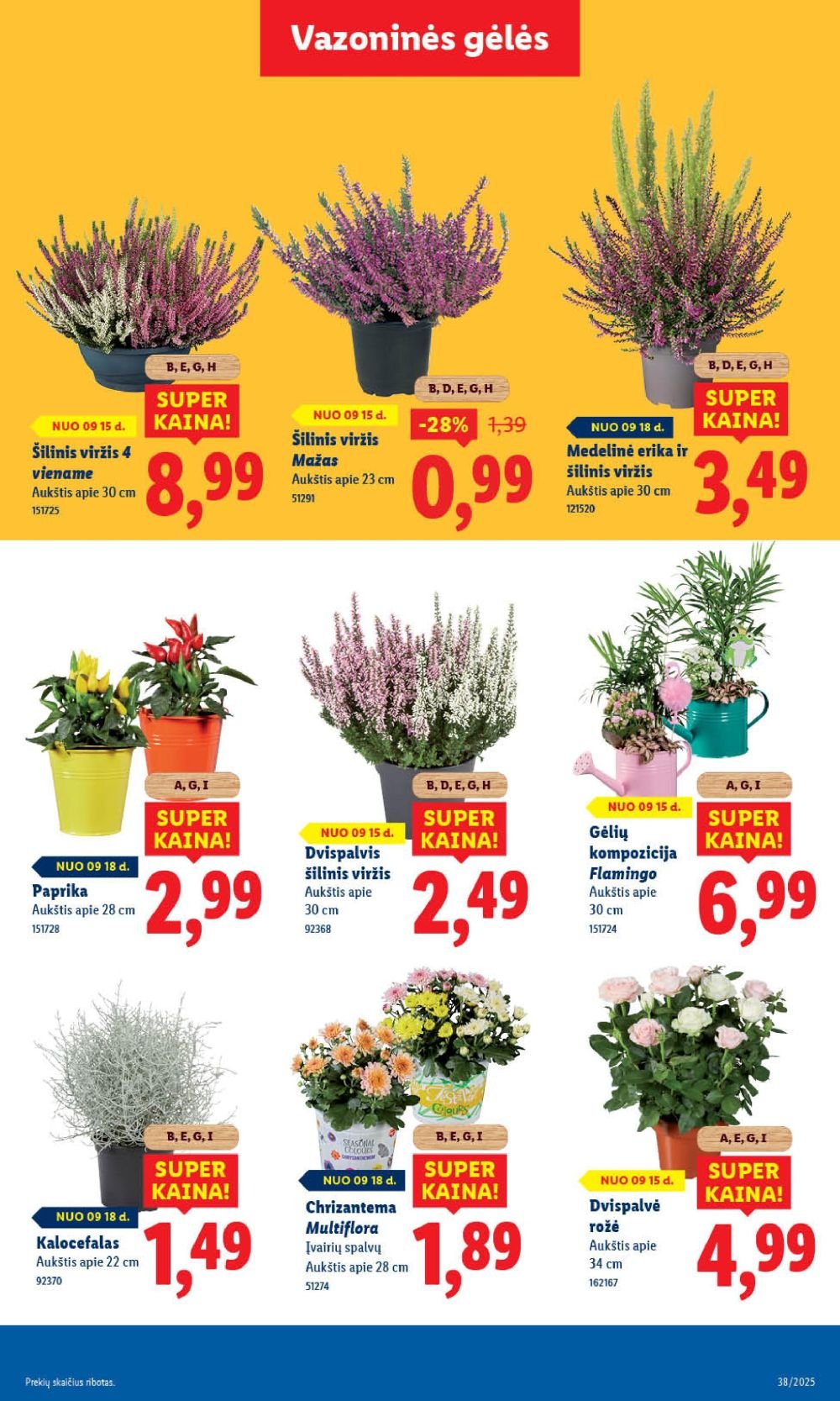 akciju leidinys